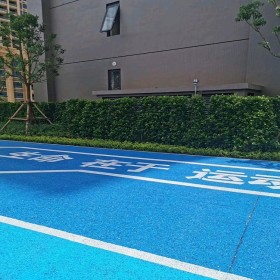 咸寧 彩色生態透水混凝土地坪 海綿城市道路 工程