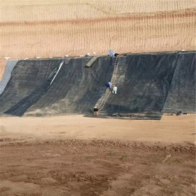 西藏固廢垃圾場HDPE土工膜   蓄水池hdpe土工膜 hdpe土工膜 養豬場沼液池好的hdpe土工膜