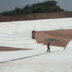 盈帆牌 天然鈉基膨潤土 廠家直銷 有現貨 人工湖防水毯