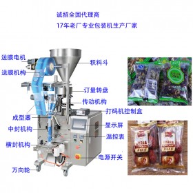 貴陽背封式顆粒包裝機 TCZB-160自動計量顆粒包裝機械 太川機電全國批發(fā)價直銷