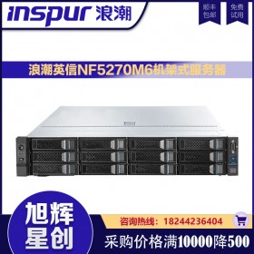 浪潮（INSPUR）NF5270M6英信服務器4310(12核 2.1G)*2/128G/600GB SAS*3/PM8204 RAID卡/550W* 2/雙口16Gb HBA/三年質保