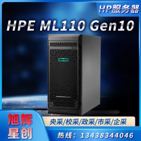 四川成都惠普（HP） ML110 Gen10 G10服務器塔式主機 文件ERP 財務數據備份 Gen9升級 至強4208 8核2.1G 4個3.5大盤位 32G內存 2塊2T硬盤