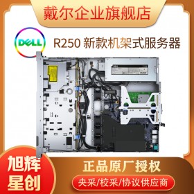 Dell EMC PowerEdge R250技術服務器_經濟型托管服務器_1U機架式服務器成都報價