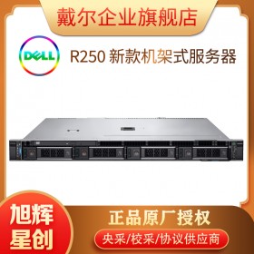 PowerEdge R250 資源服務器_1U機架式電信機房托管服務器_成都DELL服務器總代理商