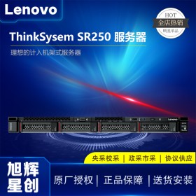 成都聯想服務器總代理_Lenovo thinksystem SR250標準化自動管理服務器