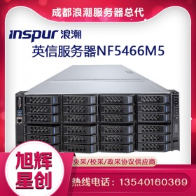 浪潮（INSPUR） NF5466M5服務器主機 4U雙路機架式 2顆4210 20核2.4G雙電 128G/4T*4/960G*4/陣列卡/雙萬兆