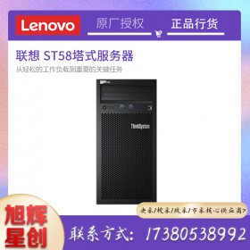 聯想 ThinkServer TS80XST58服務器 塔式主機ERP財務系統數據信創IBM整機 TS80X【E-2224G 3.5G 4核4線程】 8G內存/1TB硬盤/三年聯保【標配】