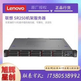 成都服務器總代理_Lenovo服務器總代理_四川聯想服務器總代理_聯想SR250企業級數據庫服務器