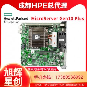 MicroServer Gen10 Plus家庭主機塔式服務器報價_HPE服務器