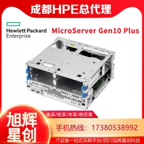 成都塔式服務器總代理_HPE MicroServer Gen10 Plus單路入門級流量服務器