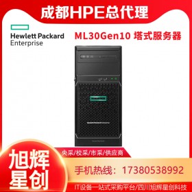 惠普（HP）HPE ML30GEN10塔式服務器主機(替代ML30 GEN9)4個LFF熱插拔硬盤位 至強E-2224四核3.4G CPU主機 8G內存+1塊2TB硬盤