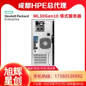 超市酒店收費服務器_ML30Gen10企業級服務器_HPE ML30 Gen10主流便宜服務器成都現貨報價