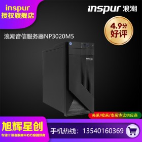 浪潮（INSPUR）NP3020M5小型塔式服務(wù)器主機(jī) 至強(qiáng)2224/16GB/2TB SATA企業(yè)級(jí)/300W冷電/DVD刻錄/三年質(zhì)保