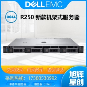 成都DELL戴爾服務器代理商_戴爾（DELL）R250服務器 新一代1U機架式ERP數據庫文件存儲郵件辦公