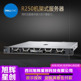 成都戴爾（DELL）1U機架式服務器主機 R250文件ERP存儲數據庫財務