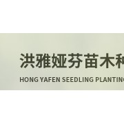 洪雅婭芬苗木種植專業(yè)合作社