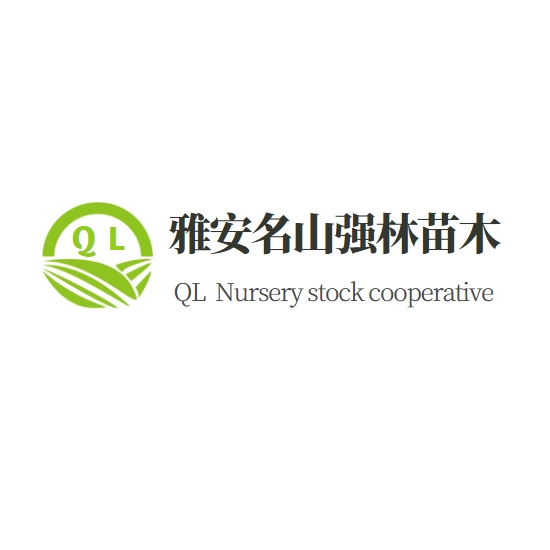 雅安市名山區(qū)強林苗木種植農民專業(yè)合作社