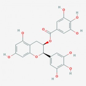 表沒食子兒茶素沒食子酸酯 (?)-Epigallocatechin gallate 標準品|對照品