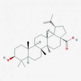 表白樺脂酸 3-表樺木酸 3-Epibetulinic acid  標準品|對照品