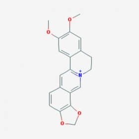 表小檗堿 Epiberberine 6873-09-2