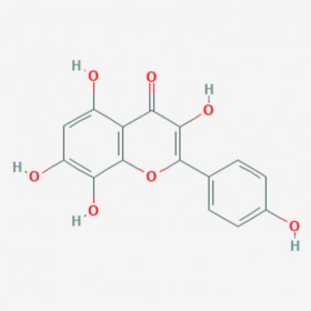 草質素 草棉黃素 527-95-7 Herbacetin 標準品|對照品