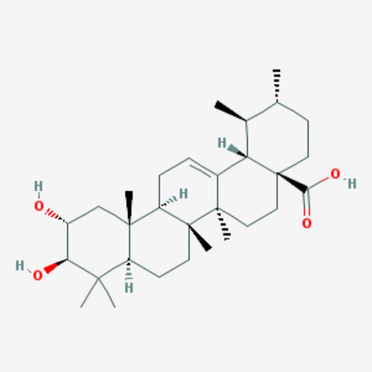 科羅索酸