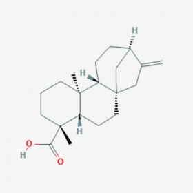 異貝殼杉烯酸 Kaurenoic acid 6730-83-2