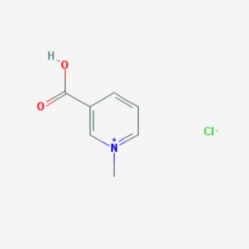 葫蘆巴堿鹽酸鹽 鹽酸葫蘆巴堿 Trigonelline Hydrochloride 6138-41-6