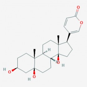 遠華蟾蜍精 Isolinderalactone 472-26-4