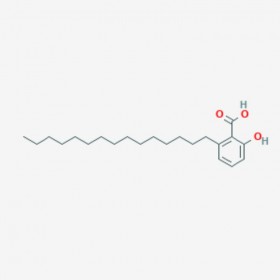 銀杏酸（15：0）Ginkgolic Acid C15:0  16611-84-0 C22H36O3