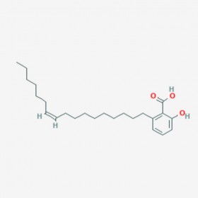 銀杏酚酸（17:1） 銀杏酸GA17：1 Ginkgolic acid 17:1 111047-30-4