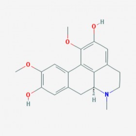 波爾定堿  包爾定 波爾定 Boldine