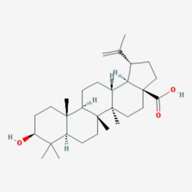 白樺脂酸 Betulinic acid  472-15-1 C30H48O3