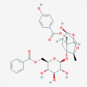 苯甲酰氧化芍藥苷 Benzoyloxypaeoniflorin 72896-40-3 C30H32O13