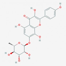 草質素苷 Rhodionin 85571-15-9 C21H20O11