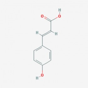 對羥基肉桂酸 Hydrocinnamic acid 501-52-0 C9H10O2