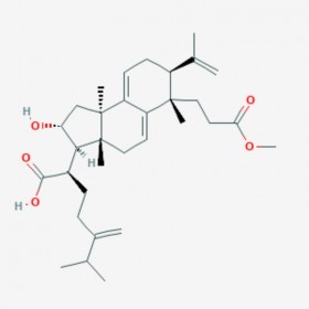 茯苓酸AM Poricoic acid AM 151200-92-9 C32H48O5