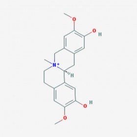 黃柏堿 Phellodendrine 6873-13-8 C20H24NO4＋