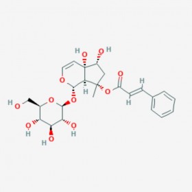 哈巴俄苷 Harpagoside 19210-12-9 C24H30O11