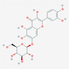 槲皮萬壽菊苷 Quercetagitrin 548-75-4 C21H20O13