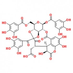 訶子酸 Chebulinic acid 18942-26-2 C41H32O27