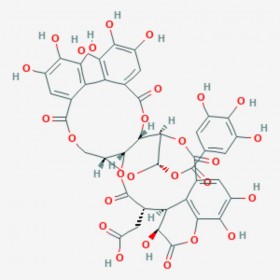 訶子鞣酸 Chebulagic acid 23094-71-5 C41H30O27