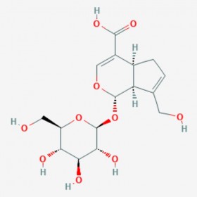 京尼平苷酸 Geniposidic acid 27741-01-1 C16H22O10