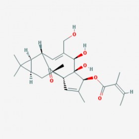 巨大戟醇-3-O-當歸酸酯 Ingenol-3-angelate  75567-37-2 C25H34O6