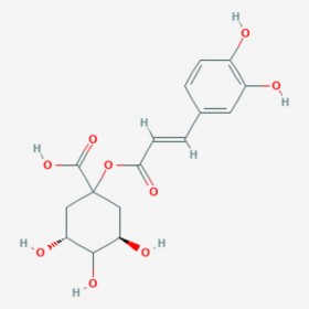 1-咖啡酰奎寧酸 1-Caffeoylquinic acid 1241-87-8 C16H18O9