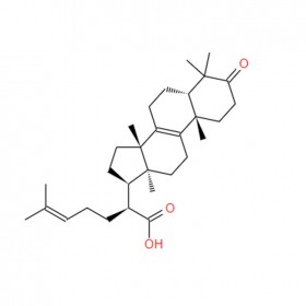 欖香酮酸 elemonic acid 28282-25-9 C30H46O3