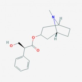 莨 菪 堿 L-Hyoscyamine 101-31-5 C17H23NO3