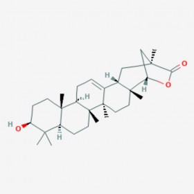 雷公藤內(nèi)酯甲 Wilforlide A 84104-71-2 C30H46O3