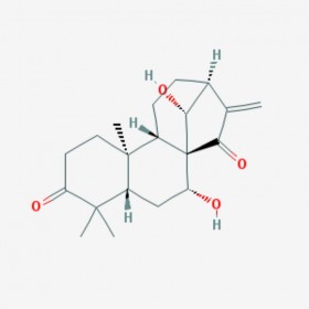 藍萼甲素 Glaucocalyxin A 79498-31-0 C20H28O4