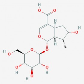 馬錢苷酸 Loganic acid 22255-40-9 C16H24O10